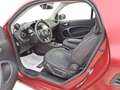 smart forTwo III 2020 - eq Prime 22kW Rosso - thumbnail 5