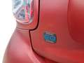 smart forTwo III 2020 - eq Prime 22kW Rosso - thumbnail 4