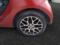 smart forTwo III 2020 - eq Prime 22kW Rosso - thumbnail 11