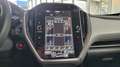 Subaru Crosstrek Active MJ 2024 Blanc - thumbnail 28