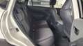 Subaru Crosstrek Active MJ 2024 Blanc - thumbnail 18