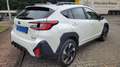 Subaru Crosstrek Active MJ 2024 Blanc - thumbnail 5