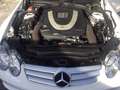 Mercedes-Benz SL 500 SL 500 7G-TRONIC Sport Blanco - thumbnail 6