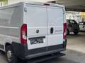 Fiat Ducato 2,0 250 L1H1 115 Weiß - thumbnail 7