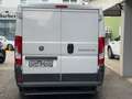Fiat Ducato 2,0 250 L1H1 115 Weiß - thumbnail 6