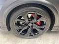 Audi RS Q8 4.0 TFSI quattro Carbon + Pano + HUD Klima Navi Negru - thumbnail 14