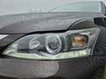 Lexus CT 200h Business Line Pro / Dealer Onderhouden / Camera! Marrón - thumbnail 27