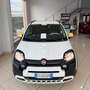 Fiat New Panda Panda 1.0 FireFly S&S Hybrid Pandina Blanco - thumbnail 11