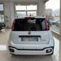 Fiat New Panda Panda 1.0 FireFly S&S Hybrid Pandina Blanco - thumbnail 4