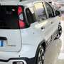 Fiat New Panda Panda 1.0 FireFly S&S Hybrid Pandina Blanco - thumbnail 6