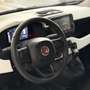 Fiat New Panda Panda 1.0 FireFly S&S Hybrid Pandina Blanco - thumbnail 7