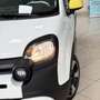 Fiat New Panda Panda 1.0 FireFly S&S Hybrid Pandina Blanco - thumbnail 2