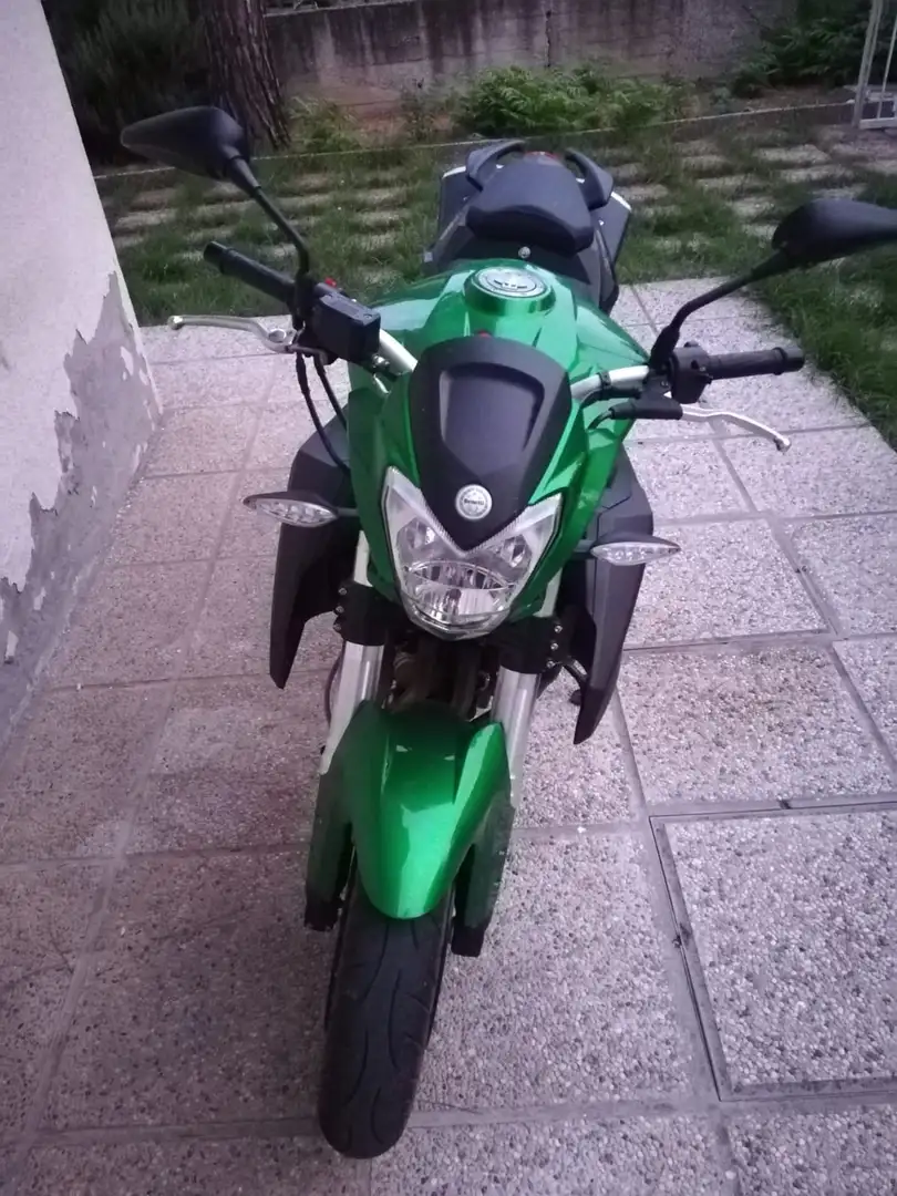 Benelli BN 600 R Grün - 1