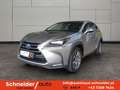 Lexus NX 300h Limited Hybrid Aut. Gri - thumbnail 1