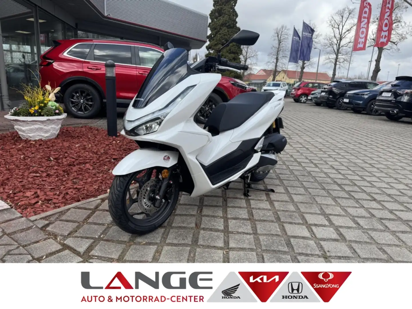 Honda PCX 125 WW125SS PCX125 DX-Version Tageszulassung Blanco - 1