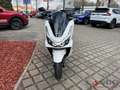 Honda PCX 125 WW125SS PCX125 DX-Version Tageszulassung Blanco - thumbnail 8