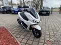 Honda PCX 125 WW125SS PCX125 DX-Version Tageszulassung Blanco - thumbnail 7