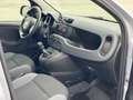 Fiat Panda Panda 1.2 Connected by Wind Grigio - thumbnail 9