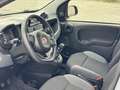 Fiat Panda Panda 1.2 Connected by Wind Grigio - thumbnail 8