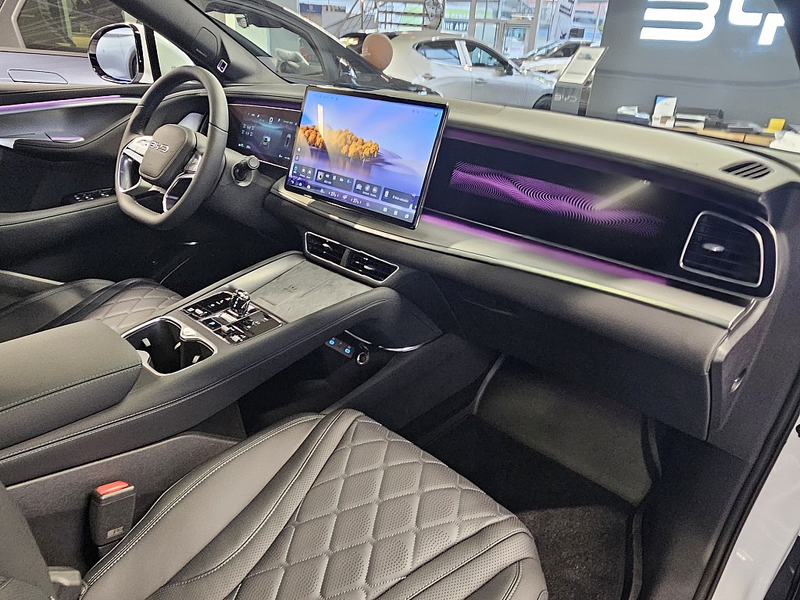 BYD Sealion 7 Comfort Österreich Paket 82.5 kWh — photo 13