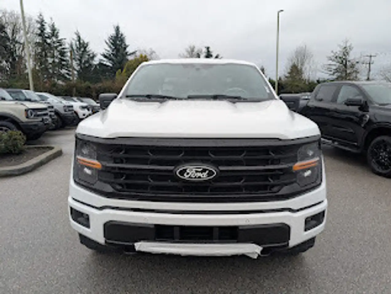 Ford F 150 снимка Ford F 150