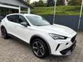 CUPRA Formentor 1.5 TSI 110kW Wit - thumbnail 7