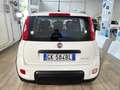 Fiat Panda 1.0 FireFly Hybrid City Life Blanc - thumbnail 5