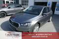 Skoda Fabia 1.0 TSI DSG 116 PS 130 Jahre Premium SHZ Navi v... Grau - thumbnail 1