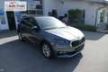 Skoda Fabia 1.0 TSI DSG 116 PS 130 Jahre Premium SHZ Navi v... Grau - thumbnail 7