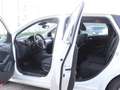 Mercedes-Benz B 220 CDI SPORT WHITE / XENON / NAVI+ / 1.HAND Білий - thumbnail 10