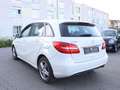 Mercedes-Benz B 220 CDI SPORT WHITE / XENON / NAVI+ / 1.HAND Білий - thumbnail 5