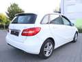 Mercedes-Benz B 220 CDI SPORT WHITE / XENON / NAVI+ / 1.HAND Білий - thumbnail 6
