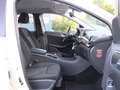 Mercedes-Benz B 220 CDI SPORT WHITE / XENON / NAVI+ / 1.HAND Білий - thumbnail 13