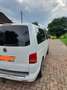 Volkswagen T5 Multivan Multivan Weiß - thumbnail 7