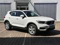 Volvo XC40 D3 2WD *Sitzh.*Navi*LED*Tempomat*LM* Blanc - thumbnail 5
