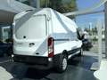 Ford Transit 2T 350M L2H2 Trend - Directiewagen Ford Transit 35 Blanc - thumbnail 7