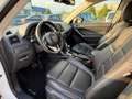 Mazda CX-5 CX-5 2.2 Exceed 4wd 175cv Weiß - thumbnail 5