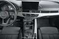 Audi A4 40 2.0 TDI advanced Pickerl NEU Grau - thumbnail 15