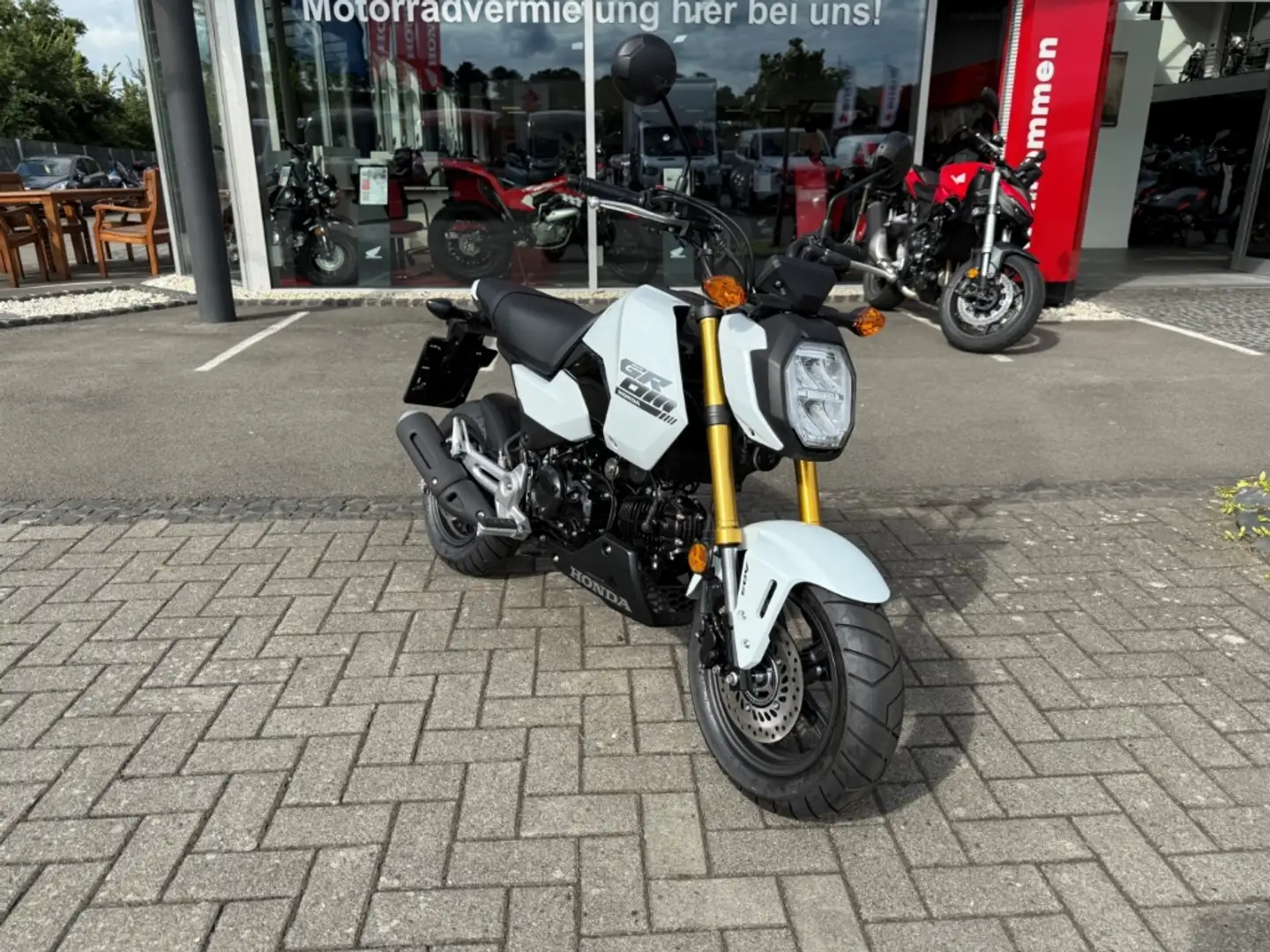 Honda MSX 125 *Grom*Mod.2025*6 Jahre Garantie*B196*Weiß*10PS* Blanco - 2