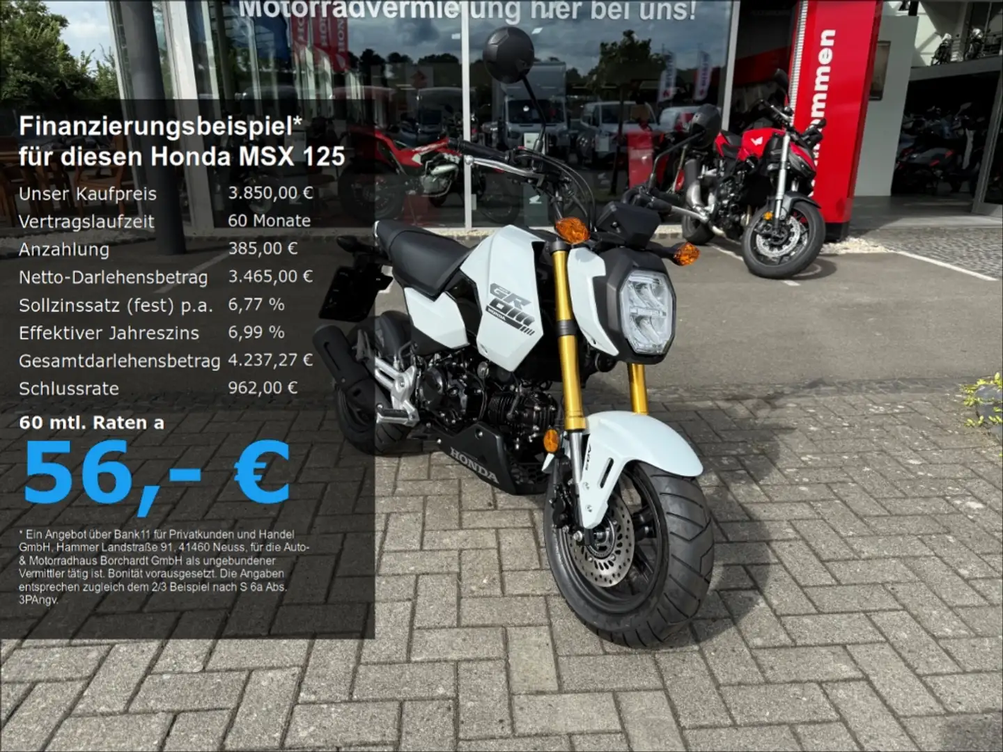 Honda MSX 125 *Grom*Mod.2025*6 Jahre Garantie*B196*Weiß*10PS* Blanco - 1