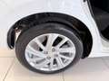 Suzuki Swift Swift 1.2 Hybrid Top Bianco - thumbnail 8