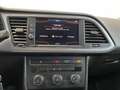 SEAT Leon 5 porte 1.4 tgi 110cv business high dsg s&s - thumbnail 7