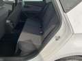SEAT Leon 5 porte 1.4 tgi 110cv business high dsg s&s - thumbnail 5
