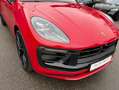 Porsche Macan GTS ACC/Chrono/Pano/LUFT/BOSE/21' Rot - thumbnail 19