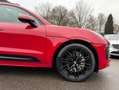 Porsche Macan GTS ACC/Chrono/Pano/LUFT/BOSE/21' Rot - thumbnail 20