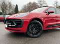 Porsche Macan GTS ACC/Chrono/Pano/LUFT/BOSE/21' Rot - thumbnail 12