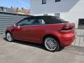 Volkswagen Golf Cabriolet Cabrio 1.6 TDI BlueMotion Cup - thumbnail 4