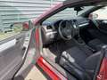 Volkswagen Golf Cabriolet Cabrio 1.6 TDI BlueMotion Cup - thumbnail 6