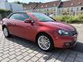 Volkswagen Golf Cabriolet Cabrio 1.6 TDI BlueMotion Cup - thumbnail 3