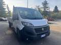 Fiat Ducato CASSONE 4,20 MAXI 35 XLH1 2.3 Mjet 180CV E6D-temp Bianco - thumbnail 3